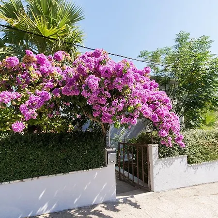 Villa Vila Perla Slatine